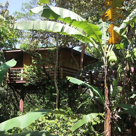 Treehouse Pilon Pavones Villa Pavones  Kültér fotó