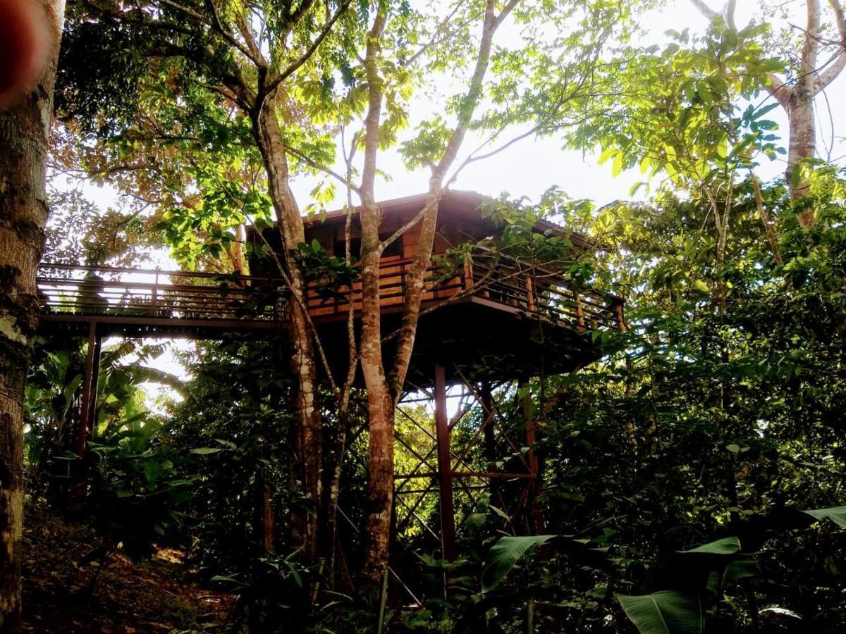 Treehouse Pilon Pavones Villa Pavones  Kültér fotó