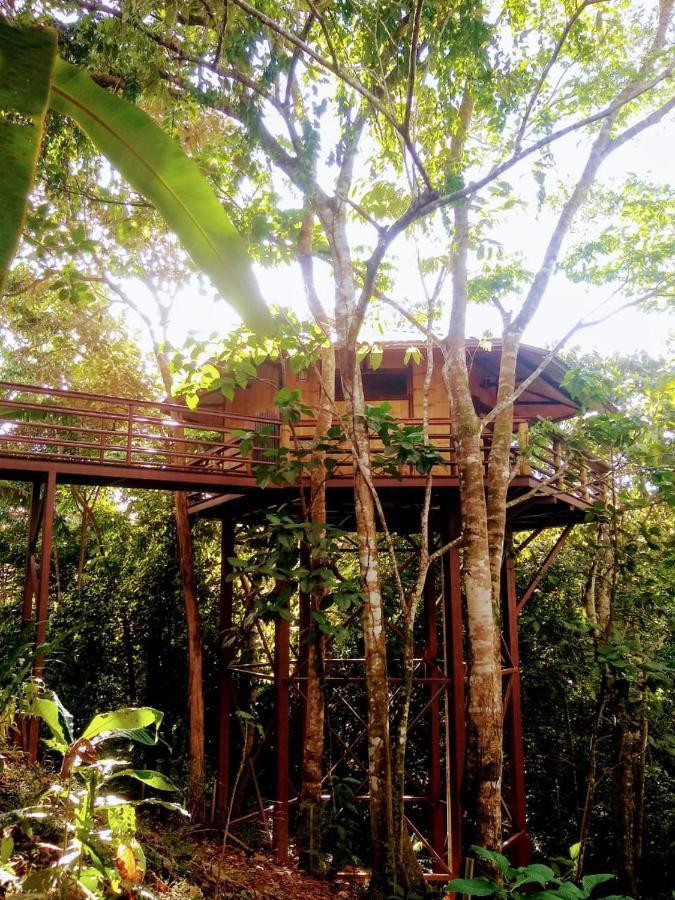 Treehouse Pilon Pavones Villa Pavones  Kültér fotó
