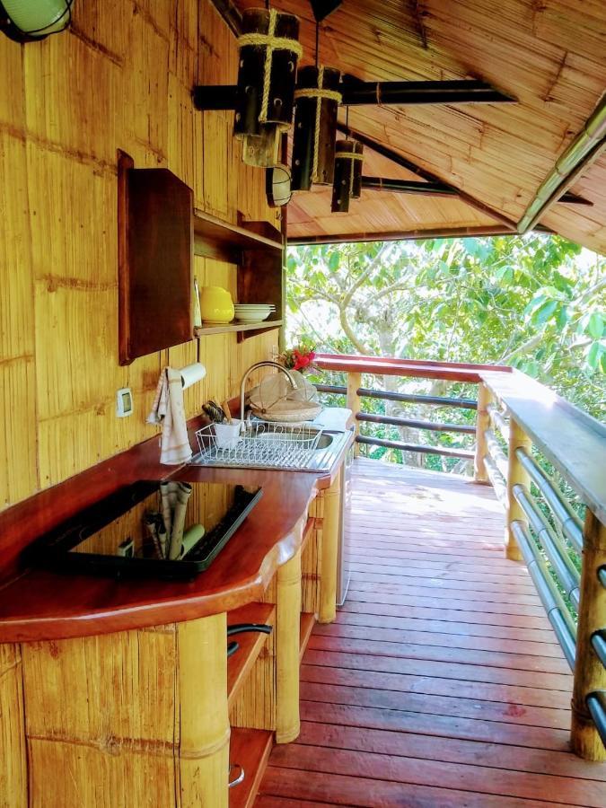 Treehouse Pilon Pavones Villa Pavones  Kültér fotó