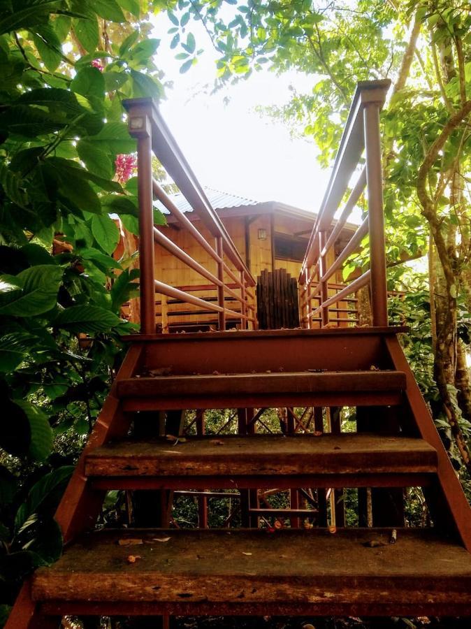 Treehouse Pilon Pavones Villa Pavones  Kültér fotó
