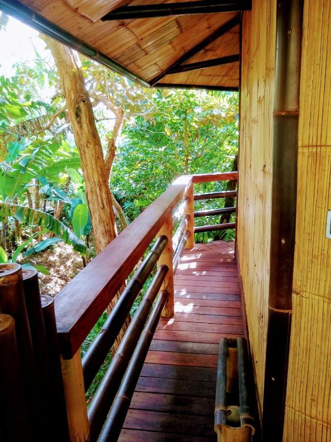 Treehouse Pilon Pavones Villa Pavones  Kültér fotó