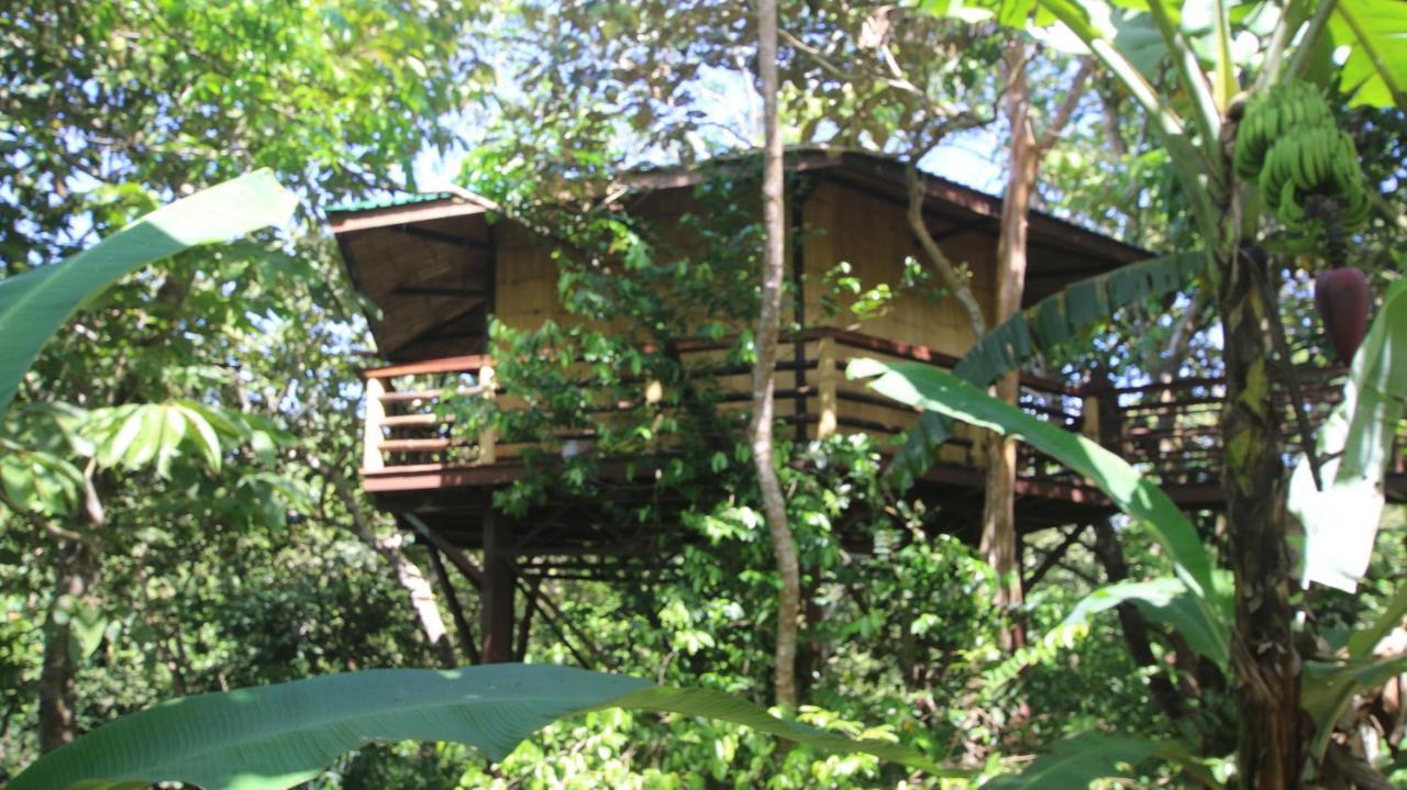 Treehouse Pilon Pavones Villa Pavones  Kültér fotó