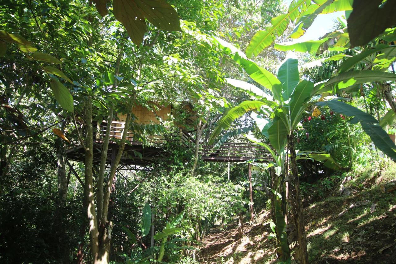Treehouse Pilon Pavones Villa Pavones  Kültér fotó