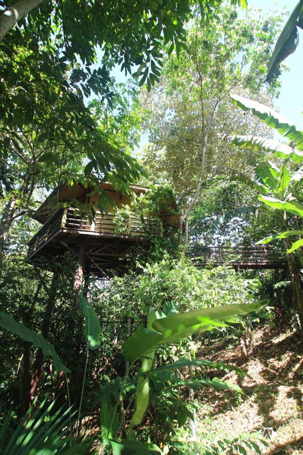 Treehouse Pilon Pavones Villa Pavones  Kültér fotó