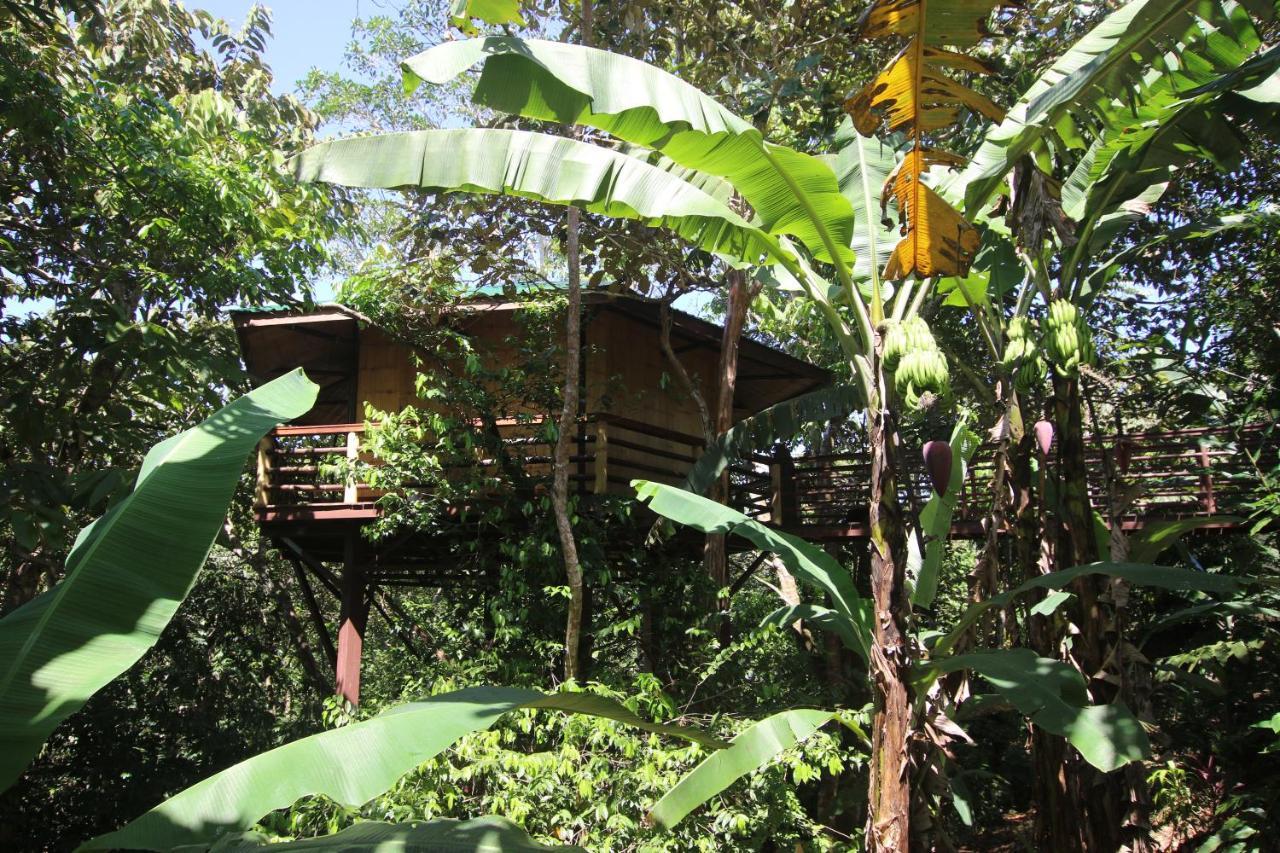 Treehouse Pilon Pavones Villa Pavones  Kültér fotó